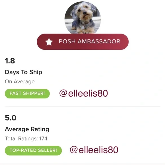 Authentic Pandora Moments Two-tone Barrel Clasp Snake Chain Bracelet - FIRM - Picture 14 of 15